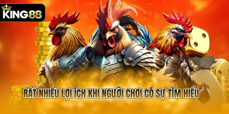 Rất nhiều lợi ích khi người chơi có sự tìm hiểu